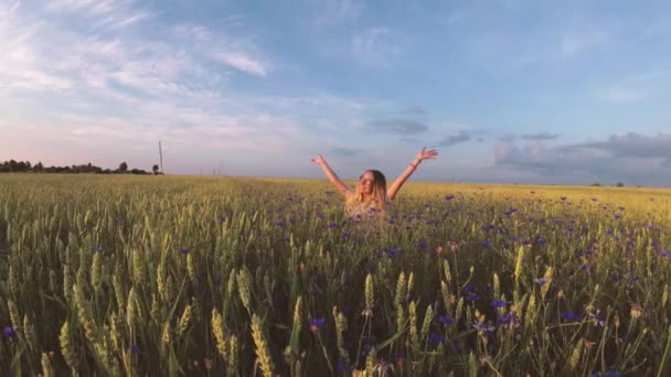 Κορίτσι Λουλούδια Που Περπατάει Χωράφι Σιτηρά — Αρχείο Βίντεο