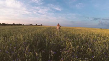 Çiçekli kız tahıl tarlasında yürüyor.