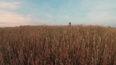 Çiçekli kız tahıl tarlasında yürüyor.