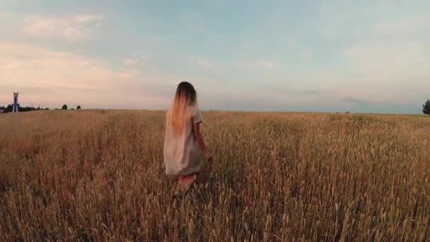 Дівчина Квітами Йдуть Зерновому Полі — стокове відео
