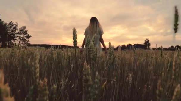 Chica Con Flores Caminando Campo Grano — Vídeos de Stock