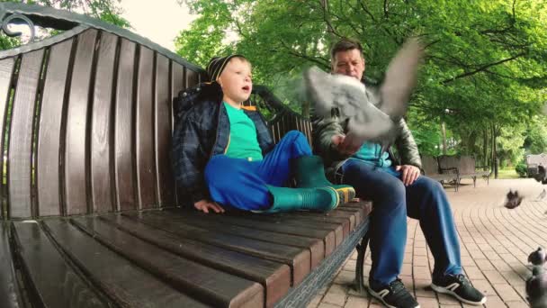 Gomel Bělorusko Táta Syn Krmí Divoké Holuby Parku — Stock video