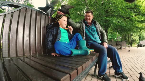 Gomel Belarus Papá Hijo Alimentaron Palomas Salvajes Parque — Vídeos de Stock
