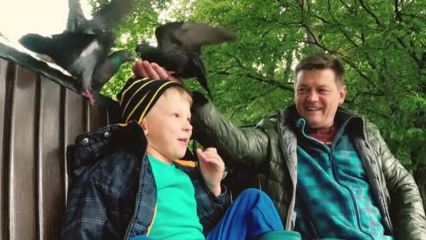 Gomel Biélorusse Papa Fils Nourris Pigeons Sauvages Dans Parc — Video