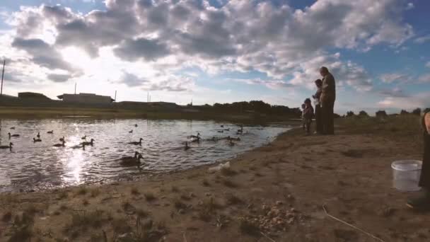 Gomel Białoruś Czerwca 2018 Ludzie Wodzie Paszy Dzikie Kaczki — Wideo stockowe