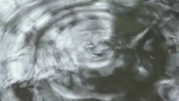 Ondas Círculos Agua Pequeños Movimientos Abstractos Del Agua — Vídeos de Stock