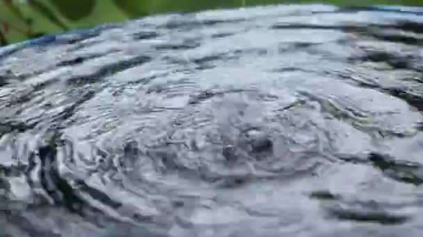 Κυματισμοί Τους Κύκλους Του Νερού Μικρό Αφηρημένη Νερό Κινήσεις — Αρχείο Βίντεο