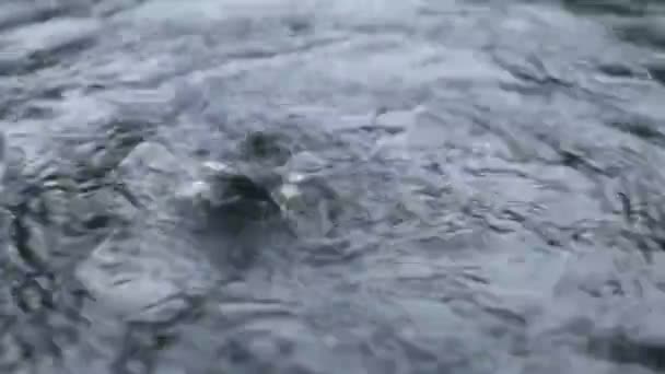 水的圈子 小抽象水运动 — 图库视频影像