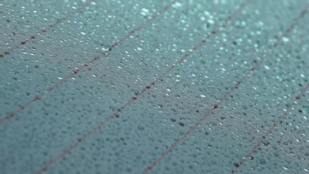 gouttes d'un chien sur un verre d'une voiture .