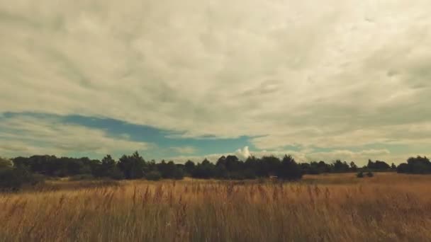 Nubes Nadan Sobre Campo Verano — Vídeos de Stock