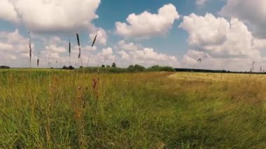 mera, yeşil çayır bulutlar ile mavi gökyüzü altında.