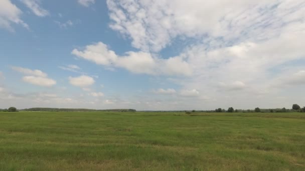 雲と青い空の下、緑の牧草地の牧草地. — ストック動画