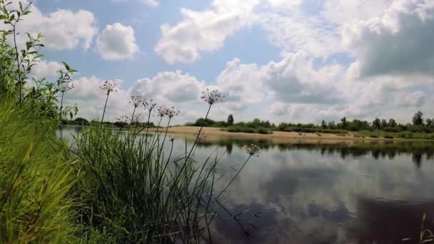 Течія річки під блакитним небом з хмарами . — стокове відео