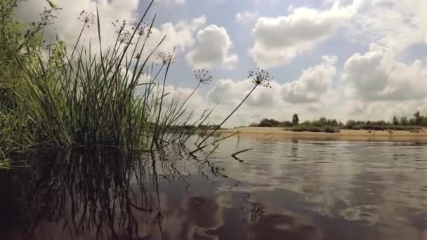 Prąd rzeki pod błękitne niebo z chmurami. — Wideo stockowe