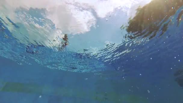 Adolescente Nada Piscina Sob Água — Vídeo de Stock