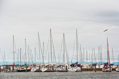 Chioggia, İtalya-Ağustos 26, 2018: Venedik eyaletinde yat ve tekne Park