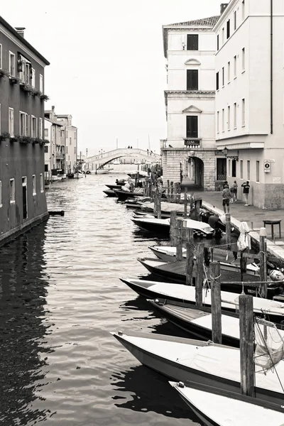 Chioggia Włochy Sierpień 2018 Prowincji Wenecja Miasto Rybaków Turystów — Zdjęcie stockowe
