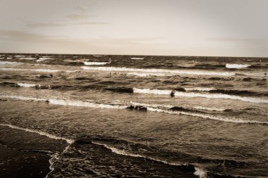 dalgalar deniz deniz kenarında plaja