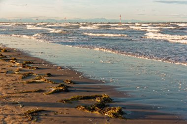 dalgalar deniz deniz kenarında plaja