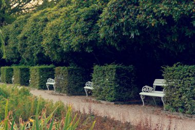 Bad Elster, Almanya 29 Ağustos 2018: Resort mimari topluluğu Bad Elster gölgeli bir park ile