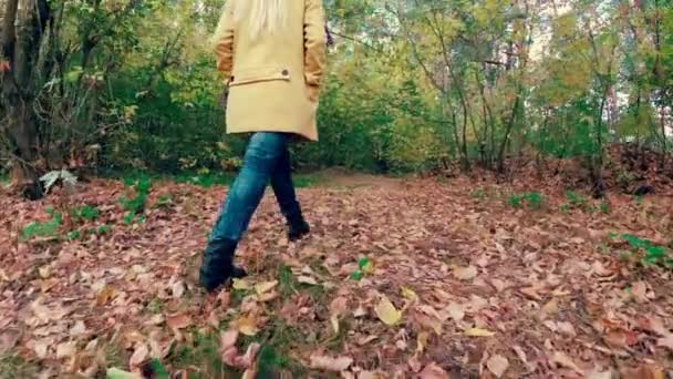 Chica Caminar Otoño Colorido Hermoso Bosque — Vídeos de Stock