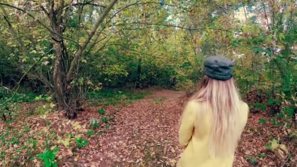 Meisje Lopen Herfst Kleurrijk Prachtig Bos — Stockvideo