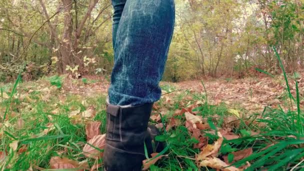 秋のカラフルな美しい森ガール散歩 — ストック動画