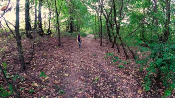 Дівчина Ходить Восени Барвистий Красивий Ліс — стокове відео
