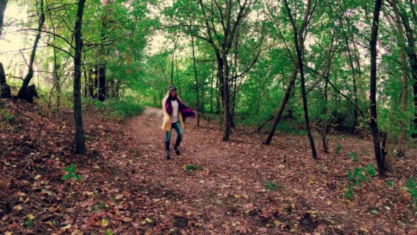 Flicka Promenad Skogen För Höstens Färgglada Vackra — Stockvideo