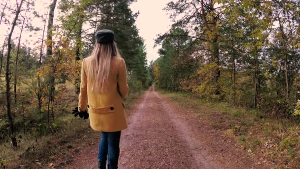 Flicka Promenad Skogen För Höstens Färgglada Vackra — Stockvideo