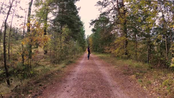 Девушка Гуляет Осеннему Красивому Лесу — стоковое видео