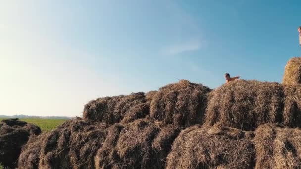 Crianças Brincam Uma Pilha Palha — Vídeo de Stock