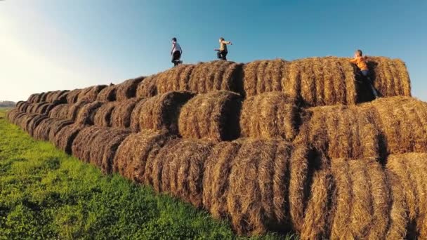 Crianças Brincam Uma Pilha Palha — Vídeo de Stock