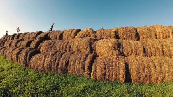 Kids Play Stack Straw — Stock Video