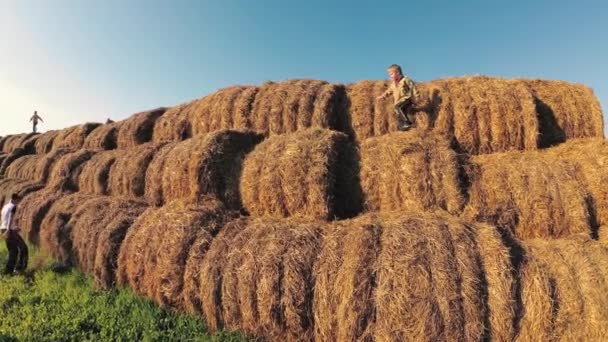 Les Enfants Jouent Dans Une Pile Paille — Video