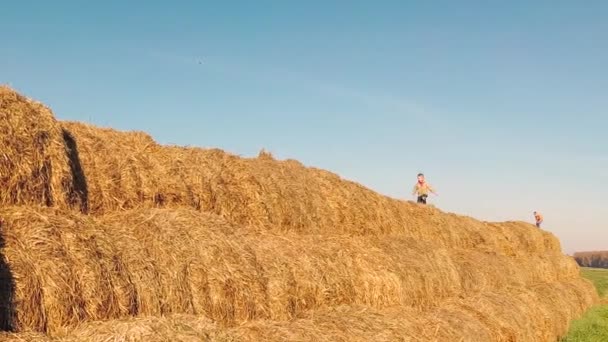 Les Enfants Jouent Dans Une Pile Paille — Video