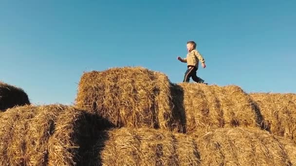 Kinder Spielen Einem Stapel Stroh — Stockvideo