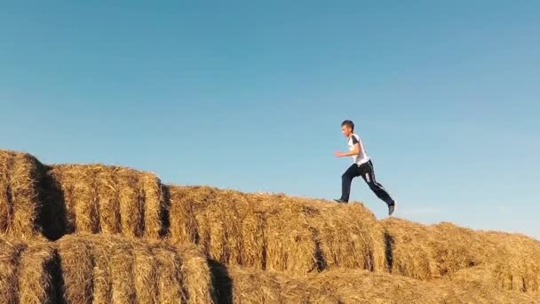 Kinderen Spelen Een Stapel Van Stro — Stockvideo