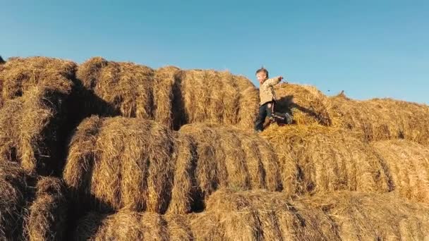 Kids play in a stack of straw. — Stock Video