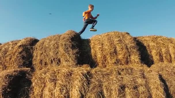 Kinder Spielen Einem Stapel Stroh — Stockvideo