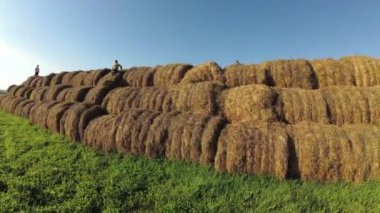 Saman yığınında çocuk oyun.