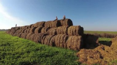 Saman yığınında çocuk oyun.