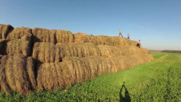 Crianças Brincam Uma Pilha Palha — Vídeo de Stock