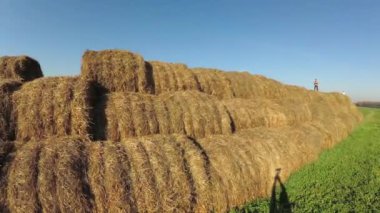 Saman yığınında çocuk oyun.