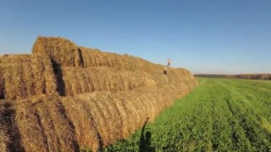 Saman yığınında çocuk oyun.