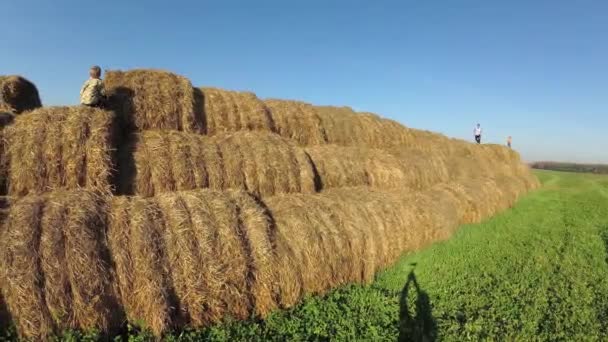 Kinderen Spelen Een Stapel Van Stro — Stockvideo