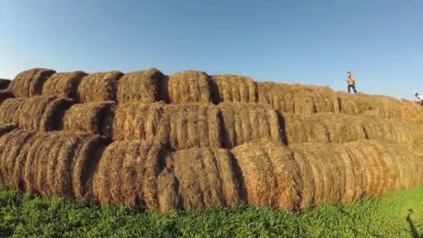 Crianças brincam em uma pilha de palha . — Vídeo de Stock