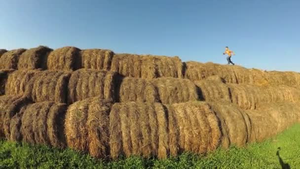 I bambini giocano in una pila di paglia . — Video Stock