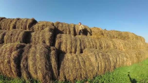 Los niños juegan en una pila de paja . — Vídeos de Stock