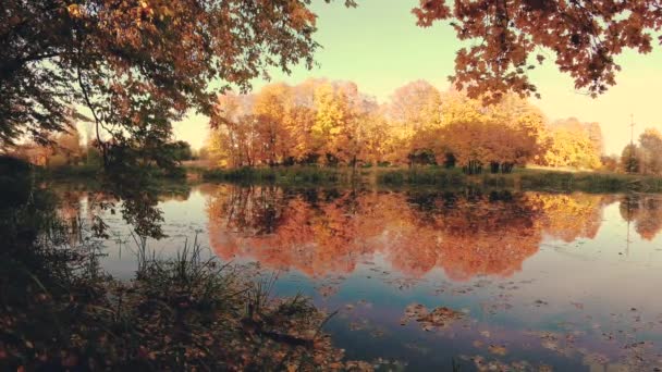 automne doré sur le lac forestier dans la soirée .
